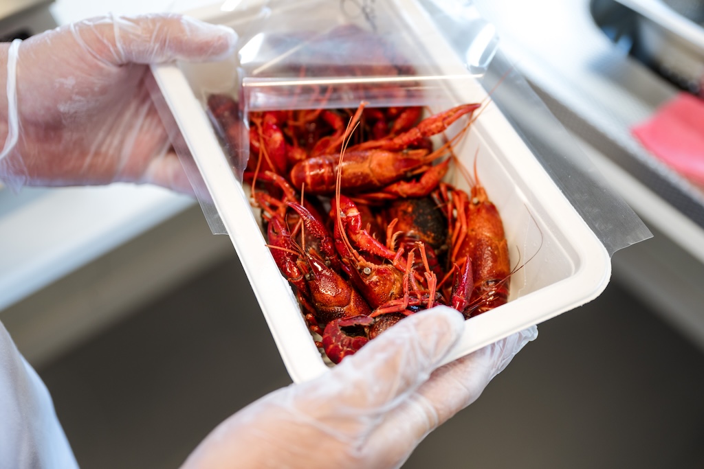 Diepgevroren rivierkreeft