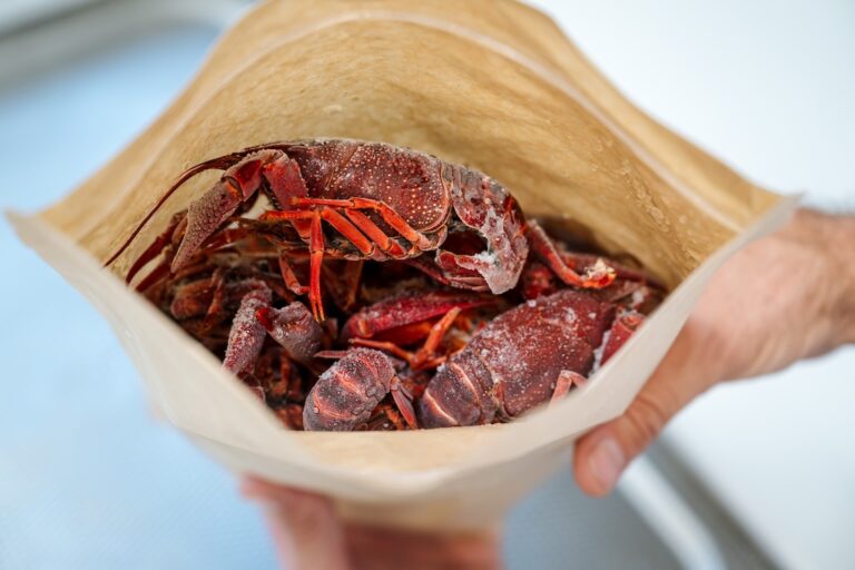 Diepgevroren rivierkreeften