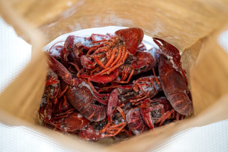 Diepgevroren rivierkreeft