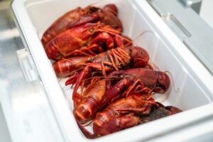 Diepgevroren rivierkreeft