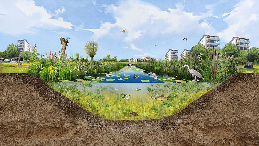 Natuurvriendelijke oevers